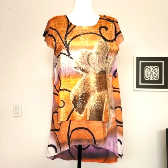 Today's Designer Tunic Top - Picture 1 of 10